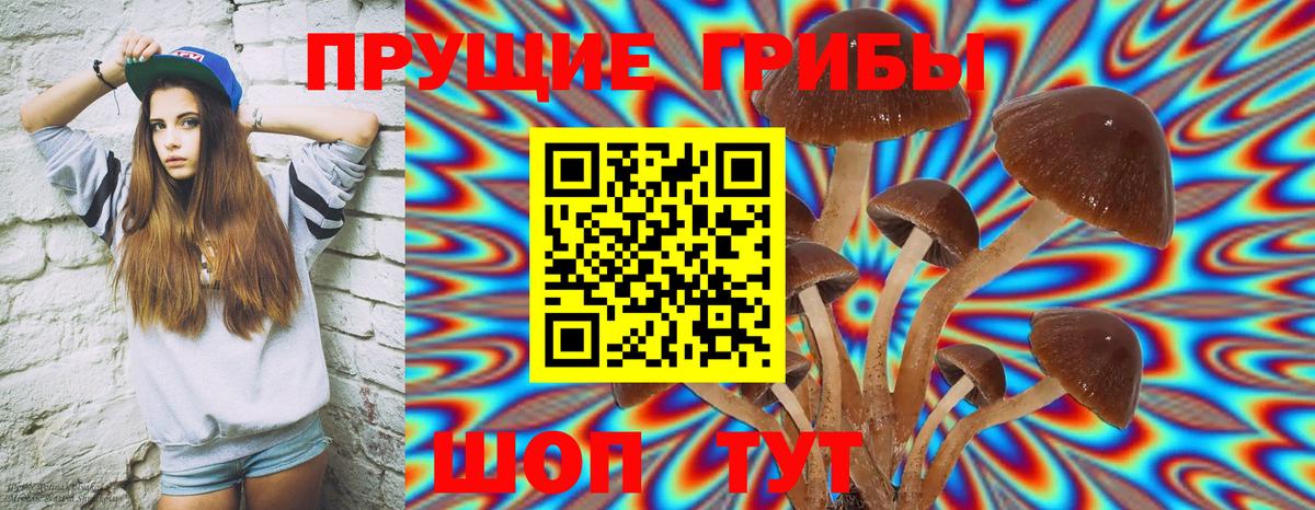 Псилоцибиновые грибы GOLDEN TEACHER Северск